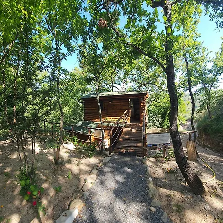 Antichi Sentieri Experience Apartment